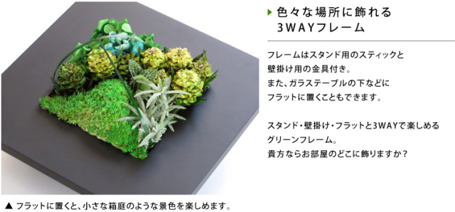 グリーンフレーム２L 花 お花 プリザーブドフラワー ギフト プレゼント お祝い 誕生日 お供え アレンジ インテリア 東京都 墨田区【白フレーム】