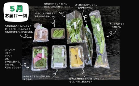 【年間定期】西粟倉村 旬の野菜おまかせセット｜毎月12回 【配送不可地域：北海道・沖縄・離島】 F-FF-B01A F-FF-D00A