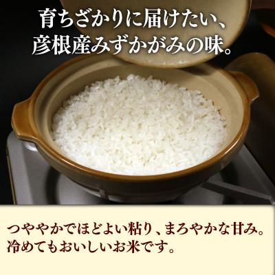 ふるさと納税 彦根市 令和7年産新米みずかがみ白米無洗米10kg(5kg×2袋) 和食の旨味引き立つさっぱりとした味わい |  | 01