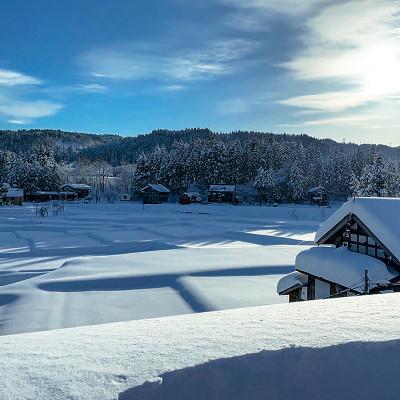 ふるさと納税 十日町市 魚沼産コシヒカリ【精米】5kg |  | 02