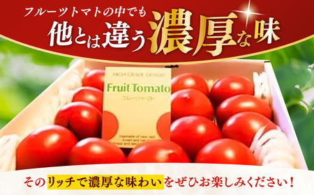 【先行予約】 高知県高知市産 贅沢フルーツトマト 約2kg 〈2027年2月初旬～5月中旬まで発送〉 / トマト とまと フルーツトマト 2kg 2キロ 野菜 果物 サラダ お弁当 デザート 【片山農