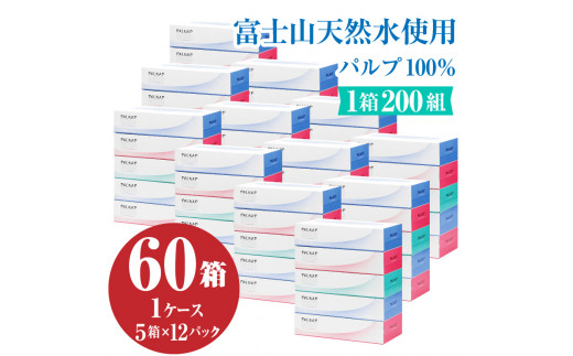 スリムパルナップボックスティッシュ 60箱(200組 400枚・5箱×12パック)