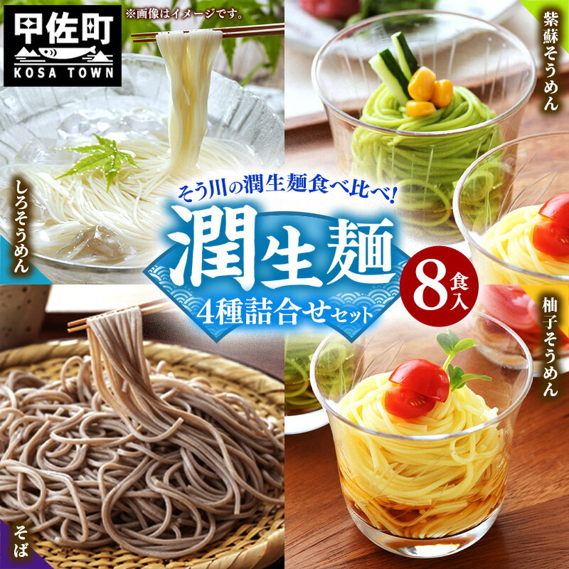 【ふるさと納税】潤生麺詰合せ（春夏）8食入り - そうめん 素麵 柚子 ゆず 紫蘇 しそ そば 蕎麦 つゆ付 さっぱり麺 詰め合わせセット 贈り物 ギフト 人気 おすすめ 熊本県 甲佐町