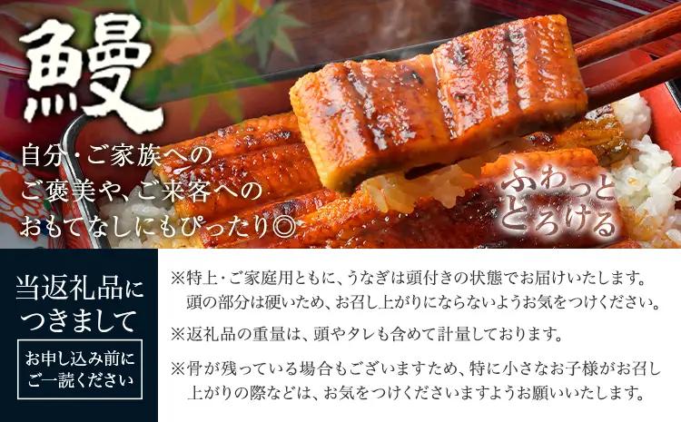 うなぎ 2尾  国産 タレ付 鰻《3-7日以内に出荷予定(土日祝除く)》