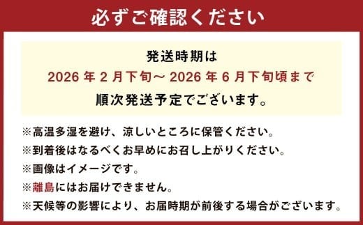 夕焼けブラッドオレンジ 訳あり 5kg