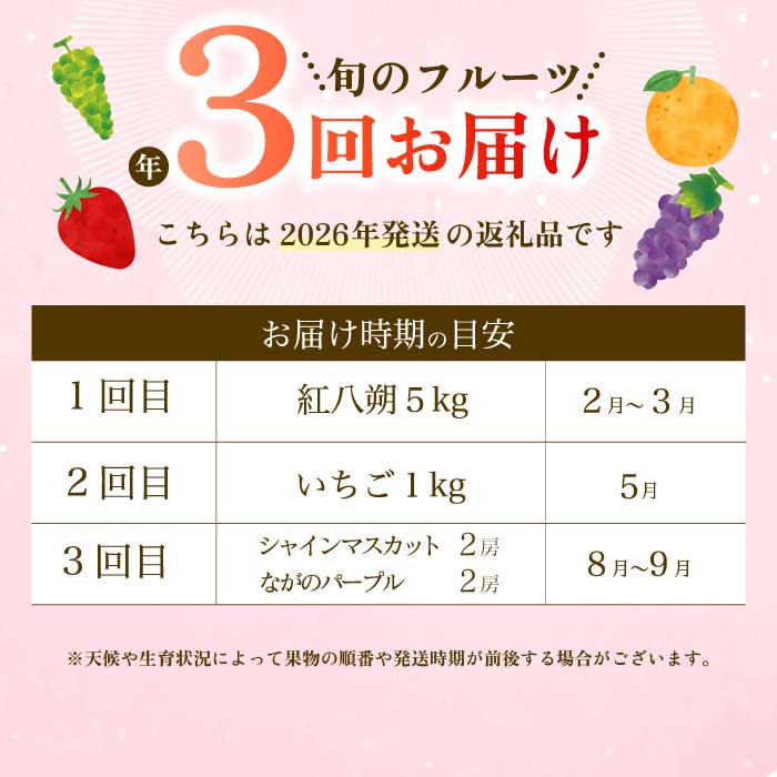 【年3回定期便】瀬戸内の恵みがいっぱい！＜訳あり＞人気の厳選フルーツ定期便 いちご ぶどう シャインマスカット 紅八朔 広島県三原市 イチゴ ブドウ ナガノ はっさく T08