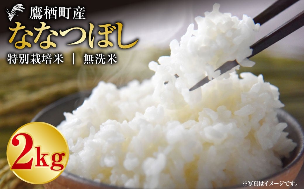 
            【令和7年産】 ななつぼし（無洗米） 2kg お米 米 コメ 無洗米 白米 主食 ご飯 ごはん  白ご飯 常温 北海道 鷹栖町
          