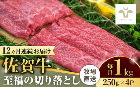 【全12回定期便】佐賀牛至福の切り落とし 計12kg（250g×4袋×12回）/ 牛肉 和牛 / 佐賀県 / 有限会社佐賀セントラル牧場 [41ASAA024]
