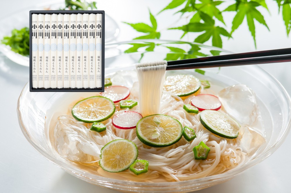 
小川の稲庭そうめん　VS-40[B1-0502]
