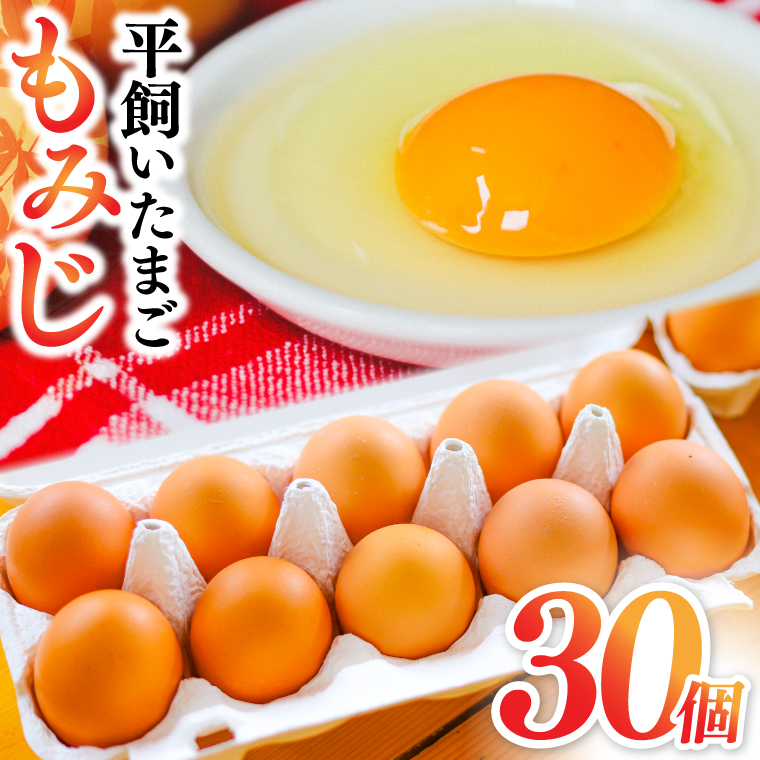 【純国産鶏もみじ】平飼い卵30個入り (破損保証5個含む) (AJ023)