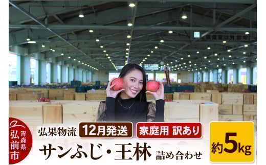 【25年12月発送】りんご 家庭用 訳あり サンふじ・王林 詰め合わせ 約5kg