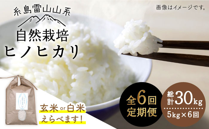 【令和7年産新米予約】【 全6回 定期便 】自然栽培 ヒノヒカリ 5kg《糸島》【大石ファーム】【2025年11月中旬以降初回発送】 [ATE018]