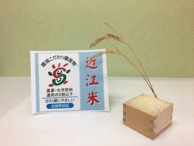 令和7年産 玄米 みずかがみ 30kg 環境こだわり米 【K073W】 近江米
