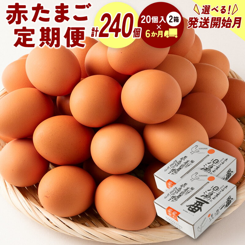 【ふるさと納税】配送開始月が選べる!!＜児湯養鶏自慢の卵＞ネッカリッチ赤たまご「児湯一番」 計240個 （20個入×2箱）×6か月定期便 生活応援