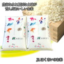 【ふるさと納税】No.296 行田市産「彩のかがやき」精米10kg（5kg×2） ／ お米 白米 ごはん 送料無料 埼玉県