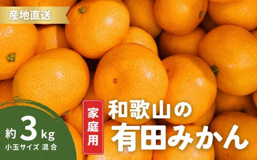 
                  家庭用 有田みかん 和歌山 小玉(2S,3Sサイズ混合) 3kg【9月下旬～1月下旬頃に順次発送】/ みかん フルーツ 果物 くだもの 有田みかん 蜜柑 柑橘【ktn009】
                