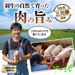ロース 生姜焼き 1.2kg ( 300g ×4P ） 国産 三元豚 冷凍 真空 小分け 個包装 たっぷり 大容量 大きめ 厚切り 豚肉 豚 ブタ ポーク ジューシー お弁当 おかず 惣菜 晩ごはん 