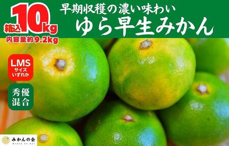 ゆら早生 みかん 箱込10kg (内容量 9.2kg)  SMLサイズのいずれか 秀品 優品 混合 有田みかん 和歌山県産 【みかんの会】［2026年10月下旬頃より順次発送予定］