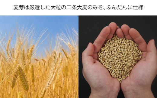 THE軽井沢ビール　10種20缶　飲み比べ　ギフトセット　6カ月定期便