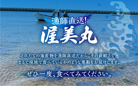 【先行予約】殻付き 生牡蠣 5kg 加熱用 軍手・牡蠣ナイフ付 牡蠣 カキ かき 生 殻付牡蠣 フライ 鍋 バーベキュー BBQ 海鮮 魚介 魚貝 貝 魚介類 新鮮 渥美半島 田原市 愛知県 国産 海