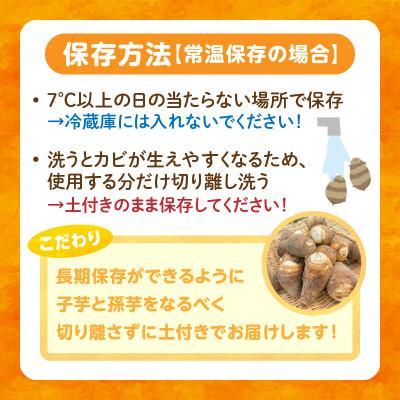 ふるさと納税 西尾市 【お試し】とろける里芋『とろりん』土付き 4.5kg・H059 |  | 03