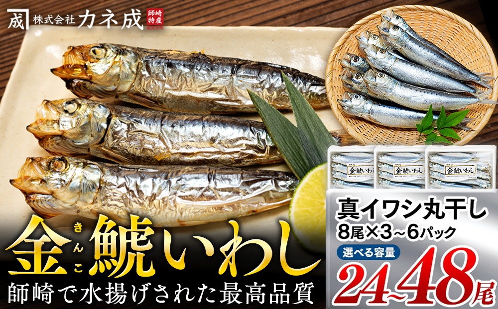 
            いわし 丸干し 冷凍 24～48尾(8尾×3～6袋) 小分け 干物 鰯 イワシ いわし 鰯 イワシ 干物 いわし 鰯 イワシ 干物 いわし 鰯 イワシ 干物 いわし 鰯 イワシ 干物 ご飯のおとも 酒の肴 酒のつまみ 海鮮 ふるさと納税いわし ふるさと納税鰯 ふるさと納税イワシ ふるさと納税干物 ふるさと納税いわし ふるさと納税干物 カネ成 金鯱いわし 愛知県 南知多
          