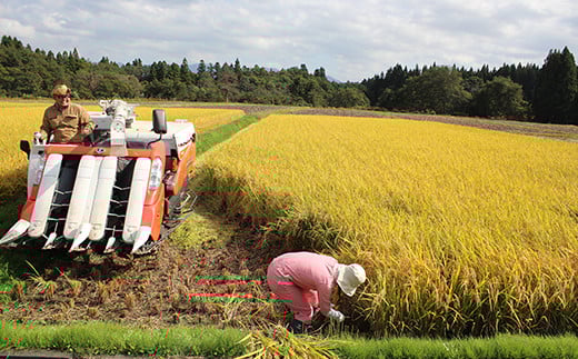 令和7年産《定期便》金山産米 つや姫 【精米】2kg×3ヶ月 計6kg 米 お米 白米 ご飯 精米 ブランド米 つや姫 送料無料 東北 山形 金山町 F4B-0633