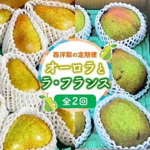 【定期便：全２回】オーロラとラ・フランス　各２.５ｋｇ　0012-2607