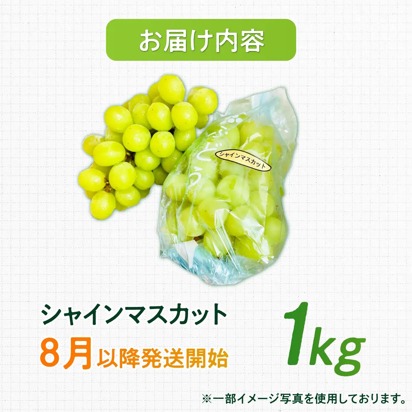 【2026年発送 先行予約】シャインマスカット 1kg / 佐賀県 / リフルット株式会社 [41ABAA011]