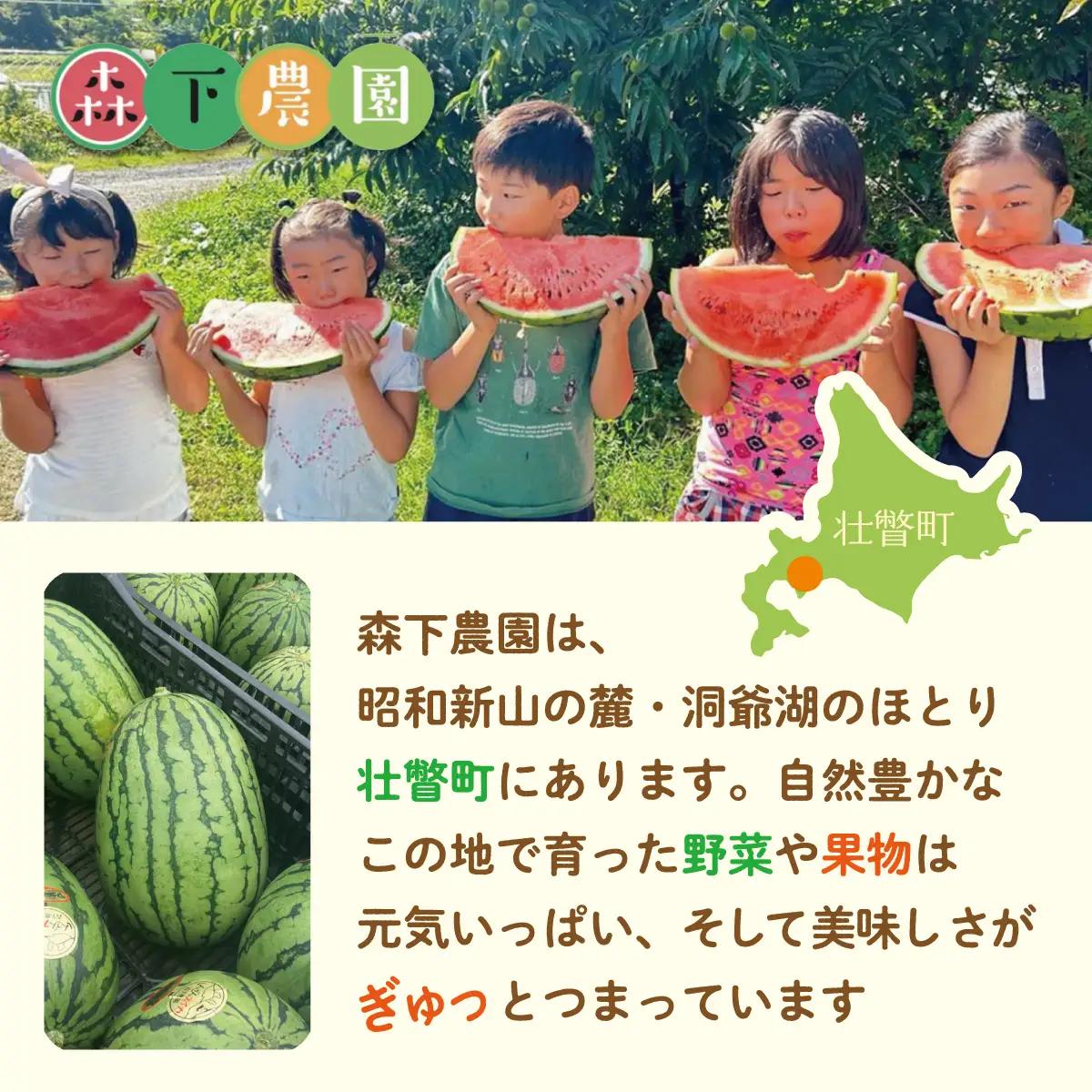 【ふるなびWEEK対象】＜2026年8月上旬よりお届け＞北海道壮瞥産　新山すいか 小玉すいか（マダーボール）Lサイズ2玉 スイカ SBTN002