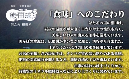 ひのひかり 坂本自然農場 穂田琉 精米 ひのひかり【2kg】