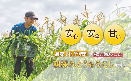 【先行受付】北斗とうもろこし 1kg (2026年8月より順次発送) HOKY003