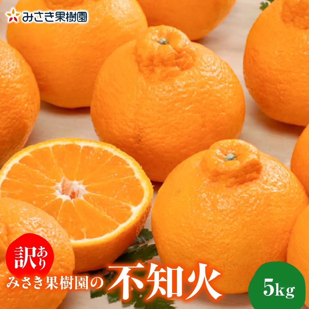 【先行受付】【訳あり】みさき果樹園の不知火5kg【A21-62】YWTBC043