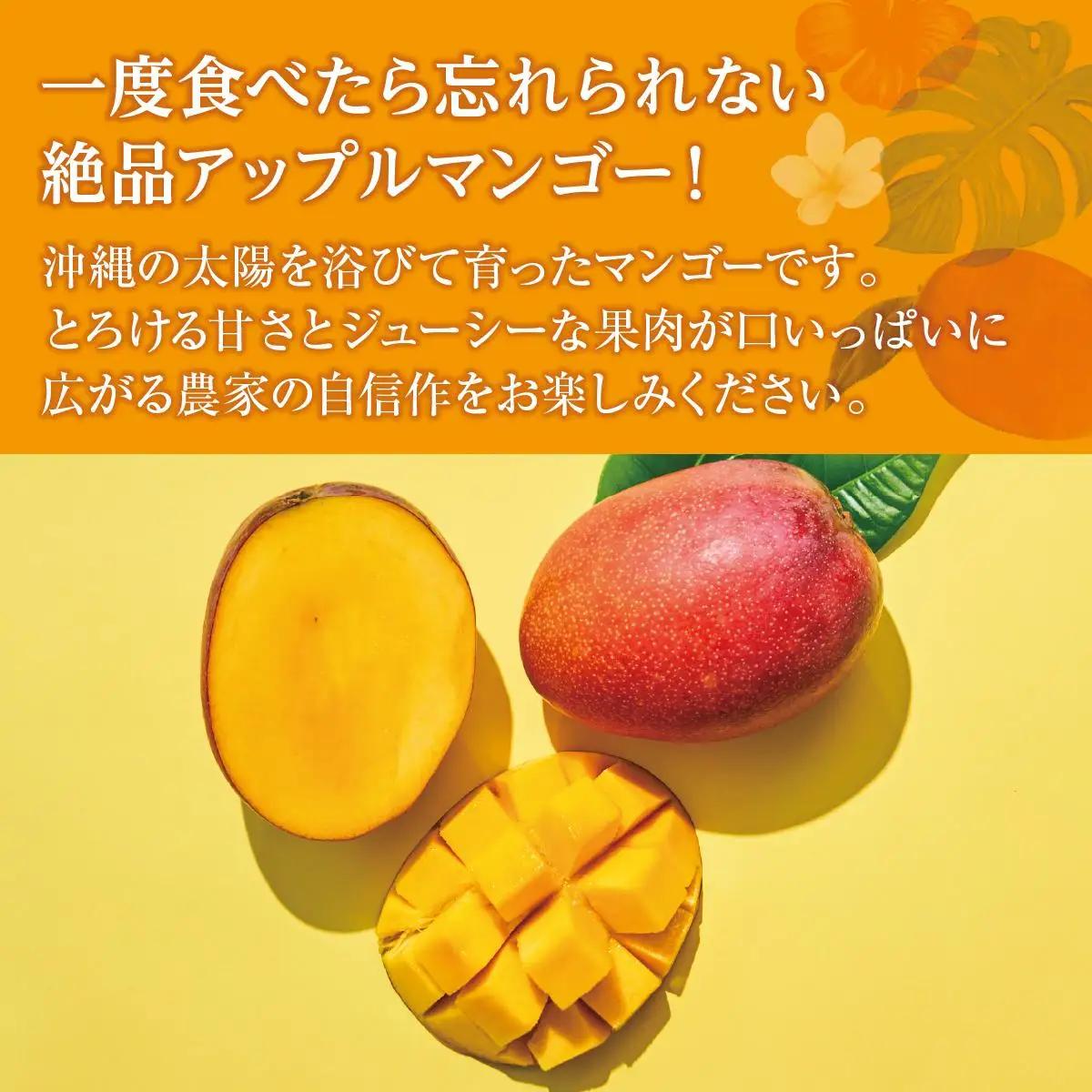 (先行受付)アップルマンゴー 南城市 約1kg (2～3玉)   