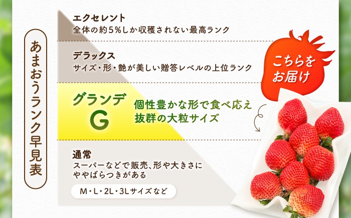 あまおうG等級 いちご イチゴ 苺 果物