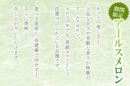 A-167 益田産アールスメロン（2玉入り）【秋作】