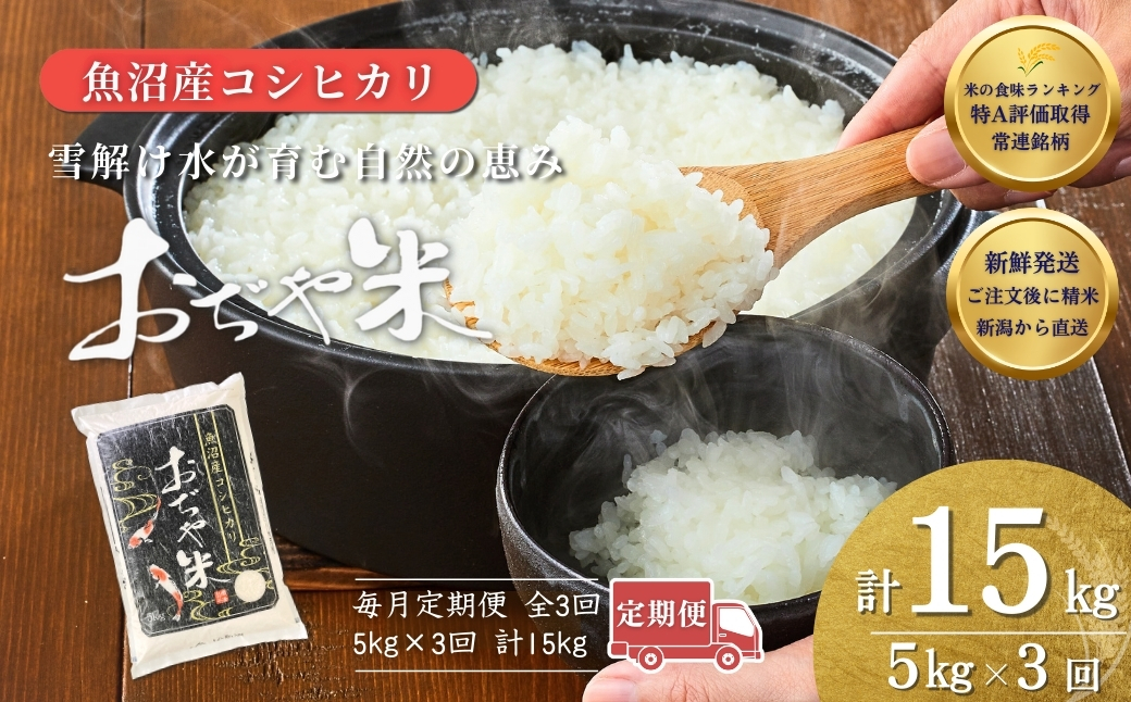 令和7年産魚沼産コシヒカリ定期便 5kg×3回（毎月お届け）（3か月連続お届け）JA魚沼