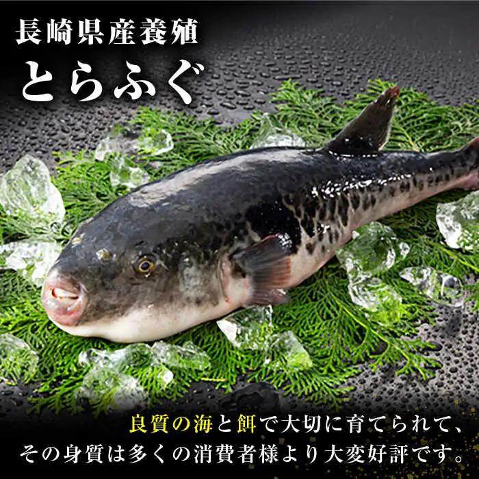 【12月31日大晦日にお届け】とらふぐ刺身5人前 / ふぐ フグ 河豚 トラフグ ふぐ刺し / 南島原市 / 大和庵 [SCJ014]