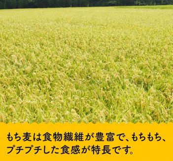 令和7年産 もち麦 2.5kg（500g×5袋） 【 ふるさと納税 国産 麦 もち麦 食物繊維 数量限定 宮崎県産 川南町産 送料無料 】