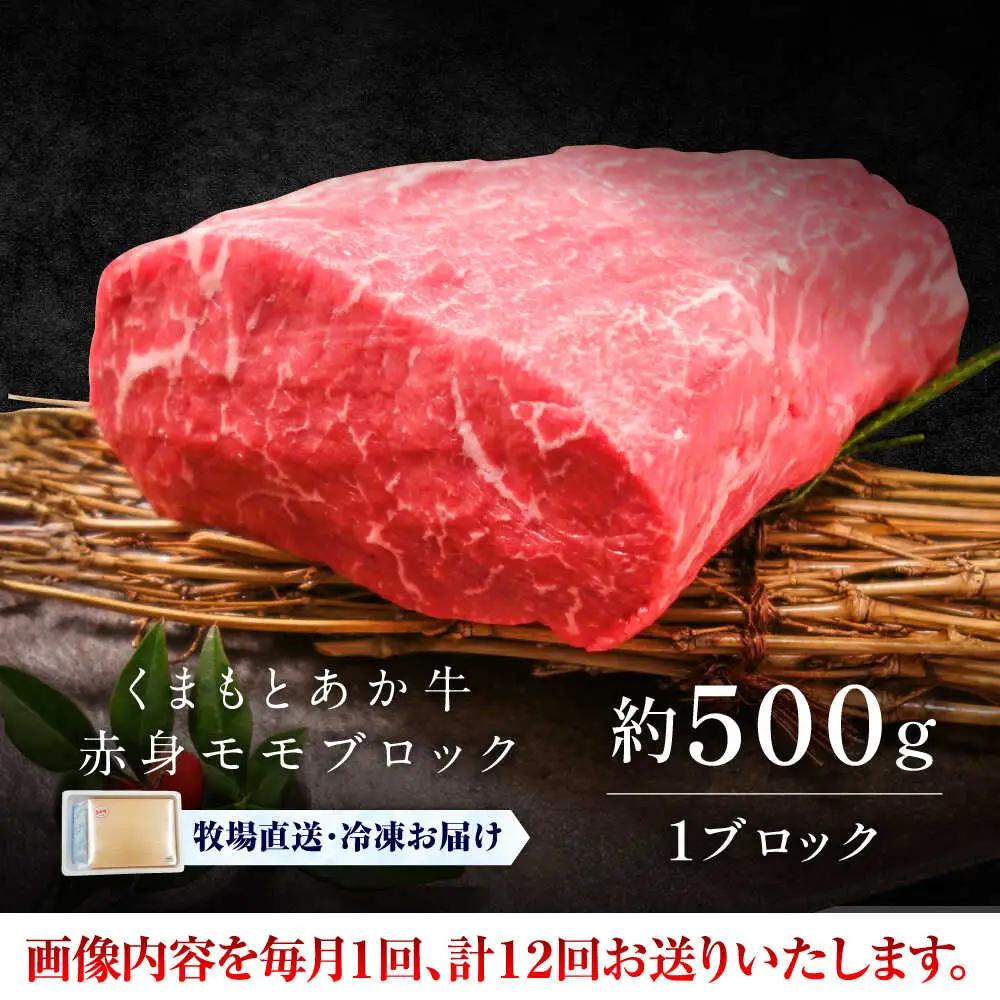 全12回定期便 GI認証 くまもとあか牛赤身 モモブロック 約500g BHAS101 ブロック