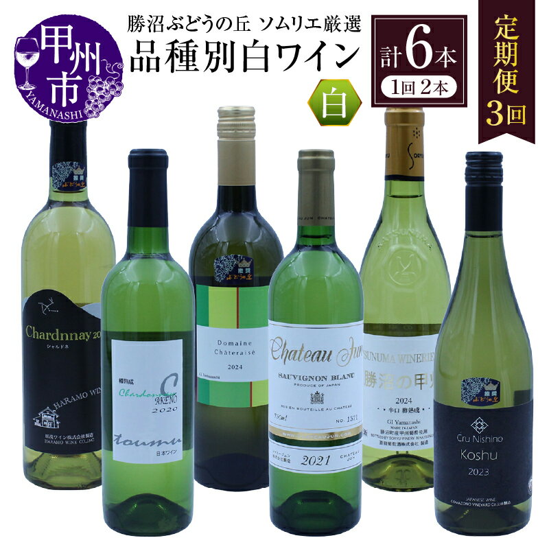 【ふるさと納税】 勝沼ぶどうの丘 ワイン 定期便 全6本 750ml 720ml 辛口 日本ワイン 甲州ワイン 白ワイン シャルドネ ソーヴィニヨンブラン セミヨン 甲州種 厳選 ギフト 山梨県 甲州市 （KBO） 【J1-801】