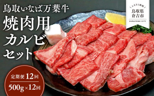 【定期便12回】 鳥取いなば万葉牛 焼肉用カルビセット 500g × 12回 鳥取和牛 国産 牛肉 和牛 黒毛和牛 カルビ セット 焼肉 焼き肉 肉 ブランド牛 冷凍 定期便 鳥取県 倉吉市