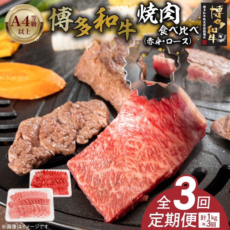 博多和牛赤身・ロース焼肉食べ比べ　計1kg　3回定期便 _Tk053