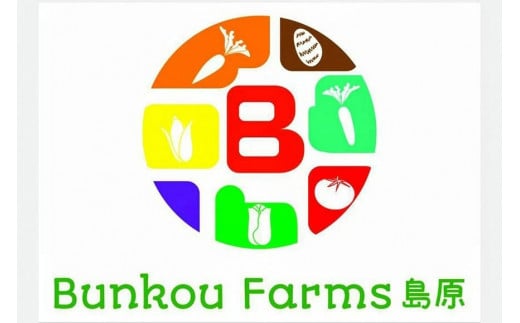 CG035　【令和8年度出荷分】5月下旬から出荷！ 朝どれ スイートコーン 200g以上×18本以上 4.5kg ～名水百選の里 島原産～