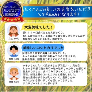 令和8年産【10月下旬配送】 新米 先行予約 新潟県産 コシヒカリ 10kg 最高品質のお米を追求し続ける 篠宮農場 上越市 精米