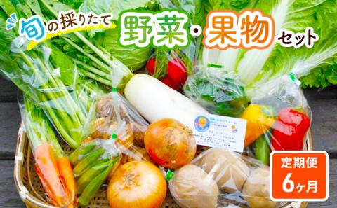 野菜セット 定期便 6ヶ月 旬の採りたて 野菜 フルーツ 詰め合わせ セット 野菜定期便 野菜詰め合わせ フルーツ詰め合わせ フルーツセット 季節の野菜 季節の果物 くだもの 果物 果樹 神奈川 定期