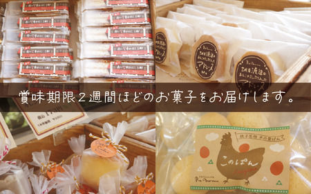 訳あり 焼き菓子 セット 13～15個入 ｹｰｷ ｹｰｷ  ｹｰｷ  ｹｰｷ  ｹｰｷ ル・ノワ