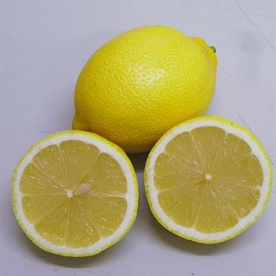 ふるさと納税 三豊市 三豊市産　瀬戸内レモン約5kg(30〜50個前後) |  | 01