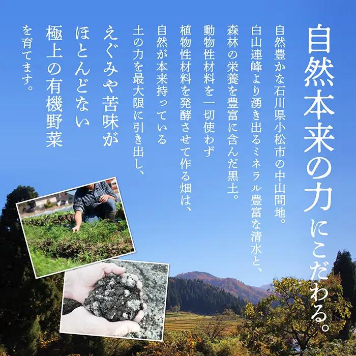 有機野菜 定期便 6ヶ月 有機野菜