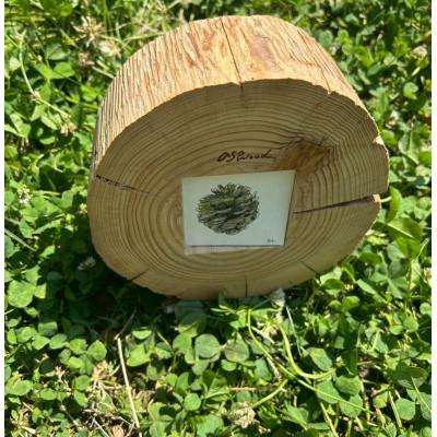 ふるさと納税 与謝野町 天然ひのき丸太使用のフォトフレーム【京都府与謝野町】森の美しさを守る自然素材のインテリア |  | 01